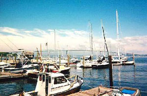 Jamestown Harbor