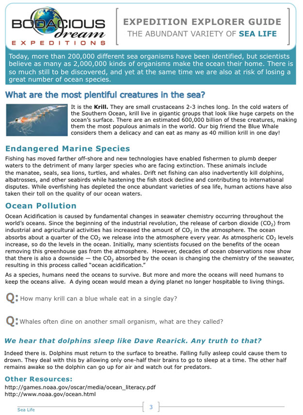 Sea Life Explorer Guide 3