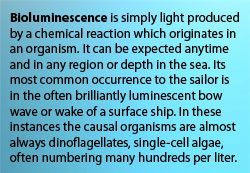 bioluminescense