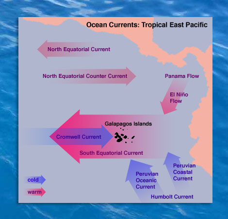 ocean_currents_470