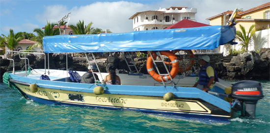 water_taxi_550